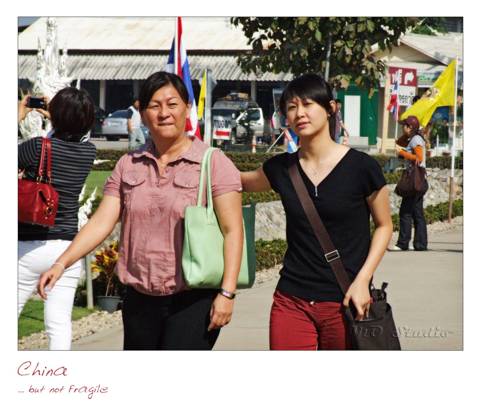 [cr_cm_080.JPG]