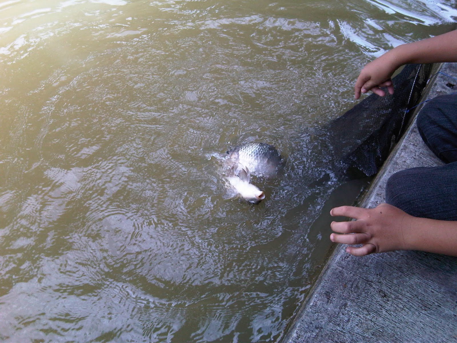 mancing ikan