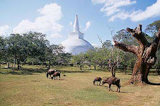 Ruwanmali seya-Anuradhapura
