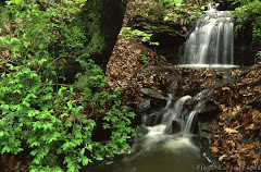 Finger Lakes of NY Waterfall