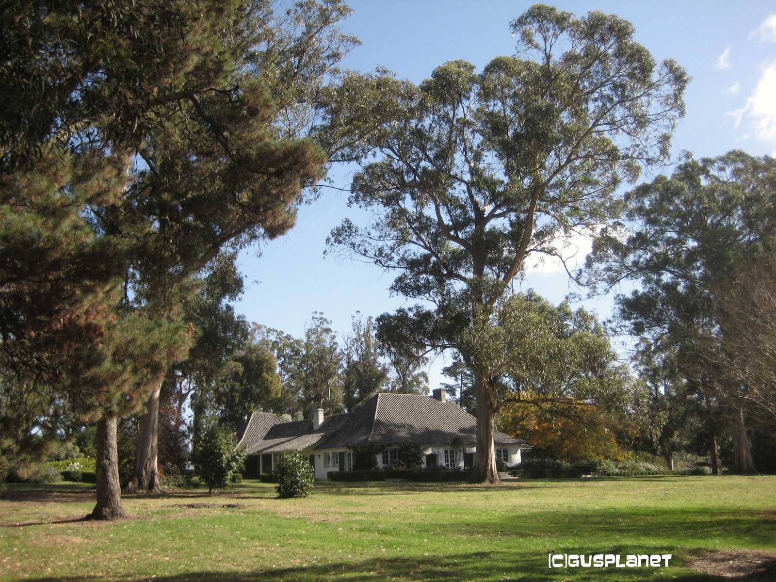 GUS PLANET: Costumbres Argentinas