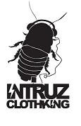 Intruz