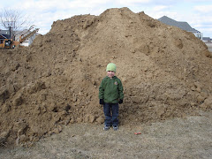 Harry's pile of dirt