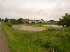 Water over the dam upstream from us