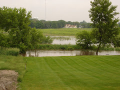 Dry (or not) Creek