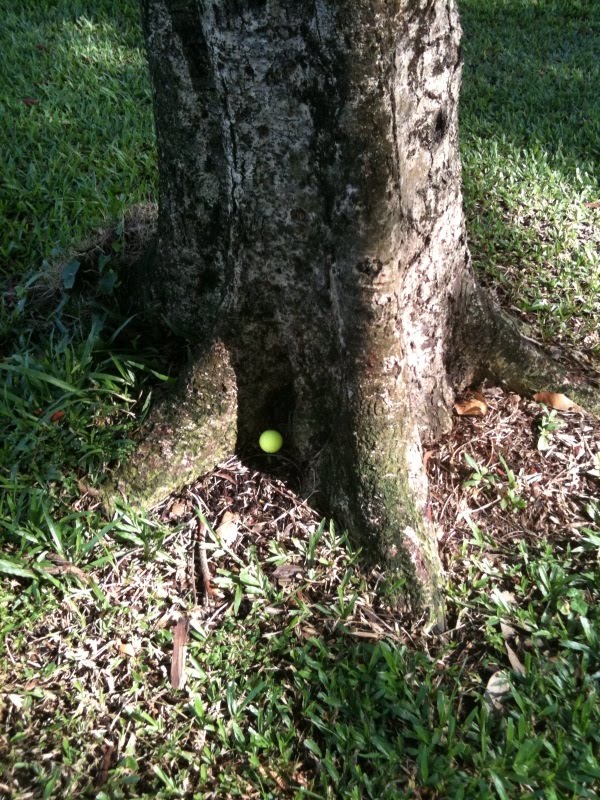 Golf Crisis Ebook Lower Your Score by 10 Strokes FAST Golf Rule what