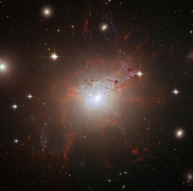 Behemoth Galaxy NGC 1275 portrayed by Hubble with the ACS