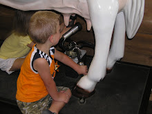 Milking cows on the farm