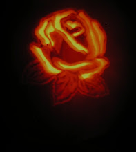 Pumkin Rose