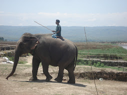 Elephant and Mahout