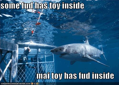 Funny Sharks Pics