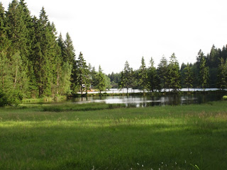 Https Research Utwente Nl Files 99405858 2019 02 11 The Underground Od West Holland V4 Pdf