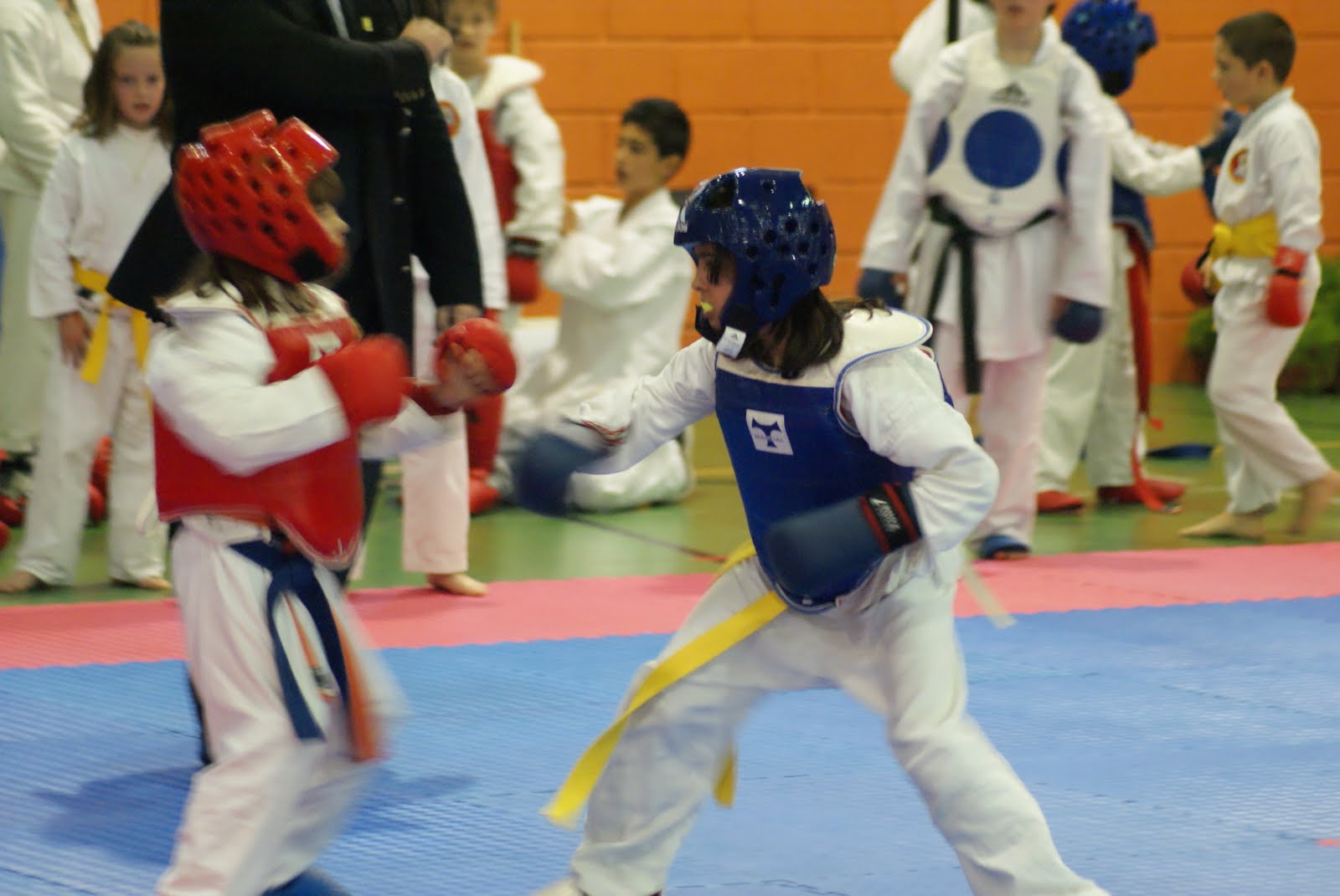 [DSC02204.JPG]