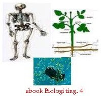 ebook Biologi ting. 4