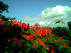 As belezas que Deus fez!!!