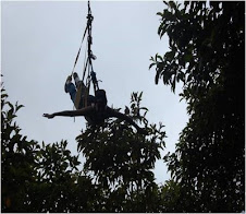 El Famoso Vuelo del Ángel