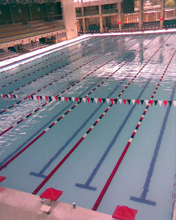 alexandra forero blogger