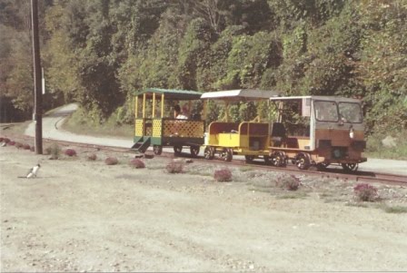 Three Rail Buggys