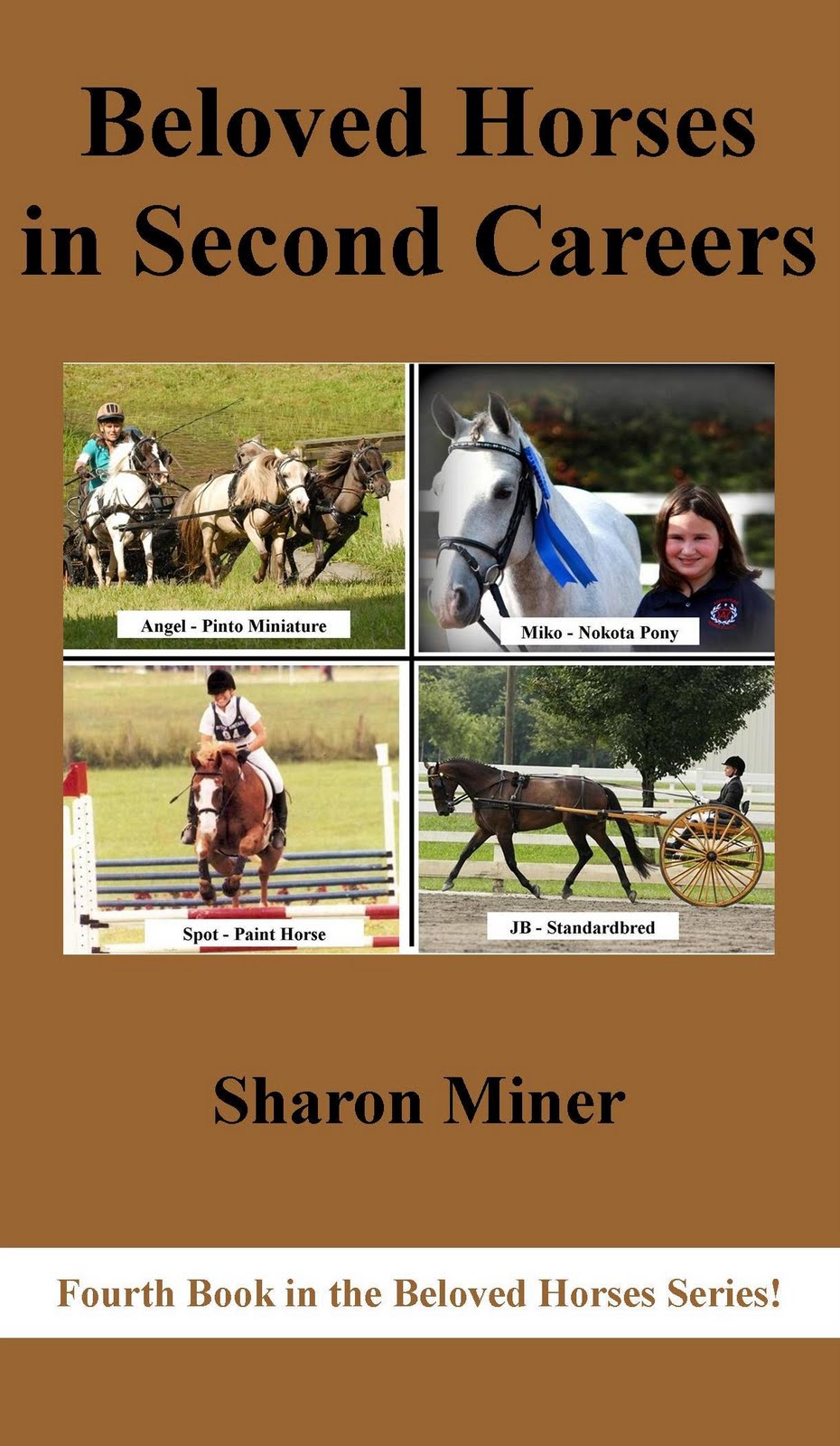 Horse Book Reviews Beloved Horses in Second Careers Release Date!