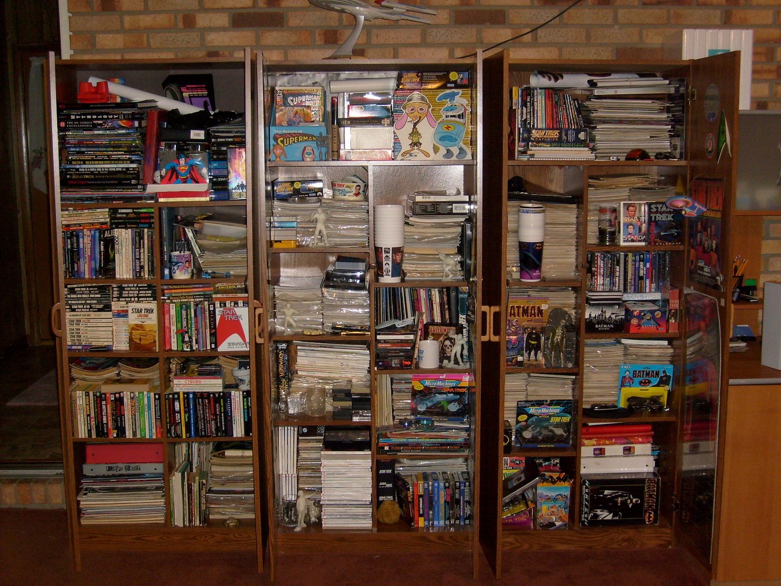 [bookcases.jpg]