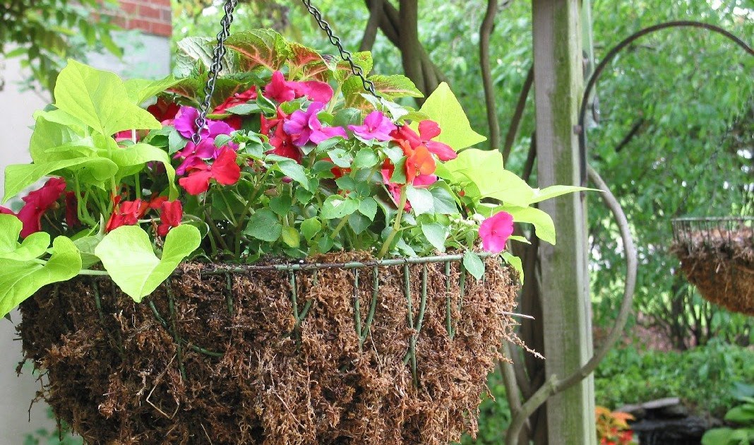 Niesz Vintage Home...and fabric Moss Lined Flower Basket A Garden HowTo