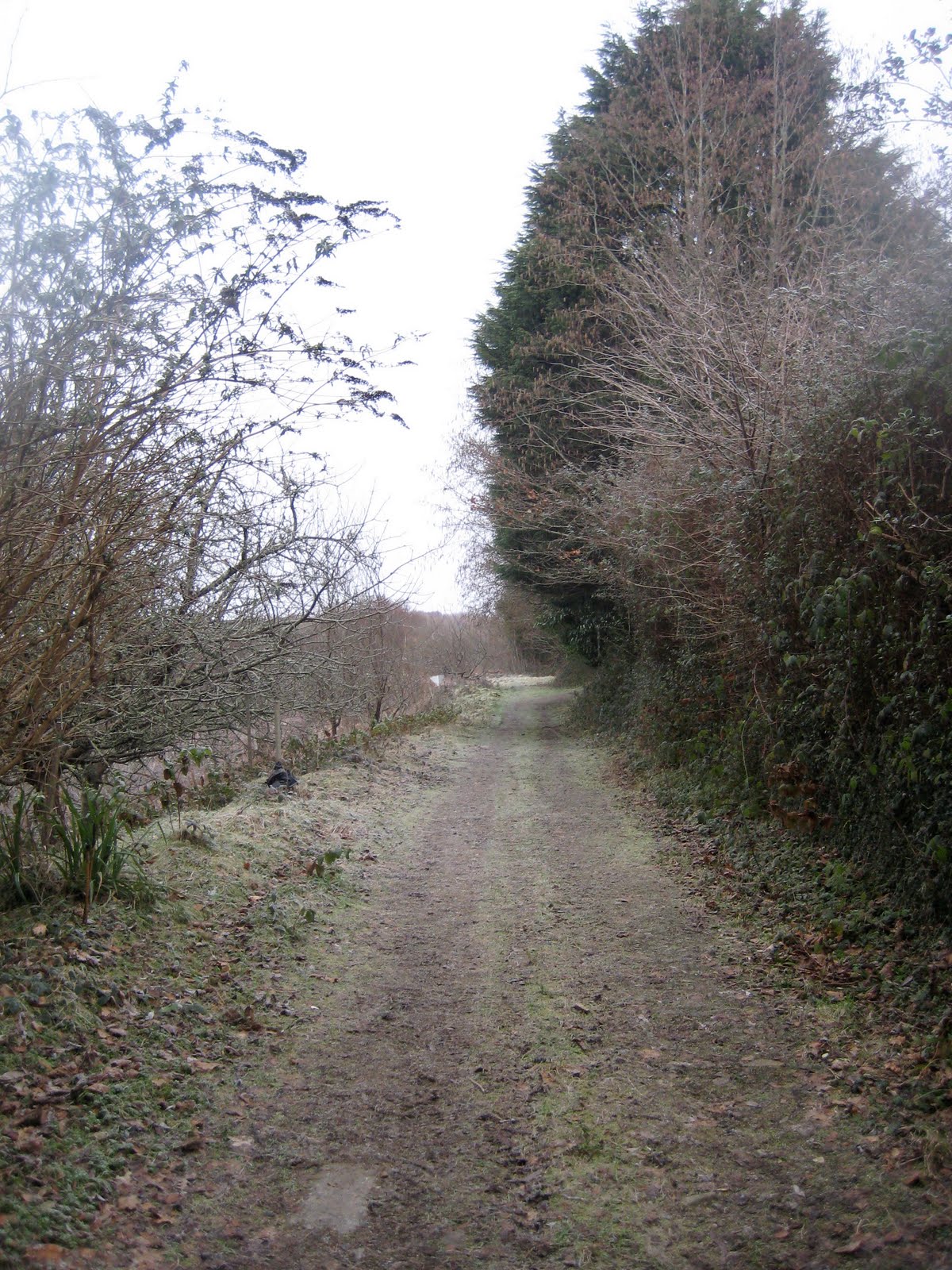 [IMG_6137.JPG]
