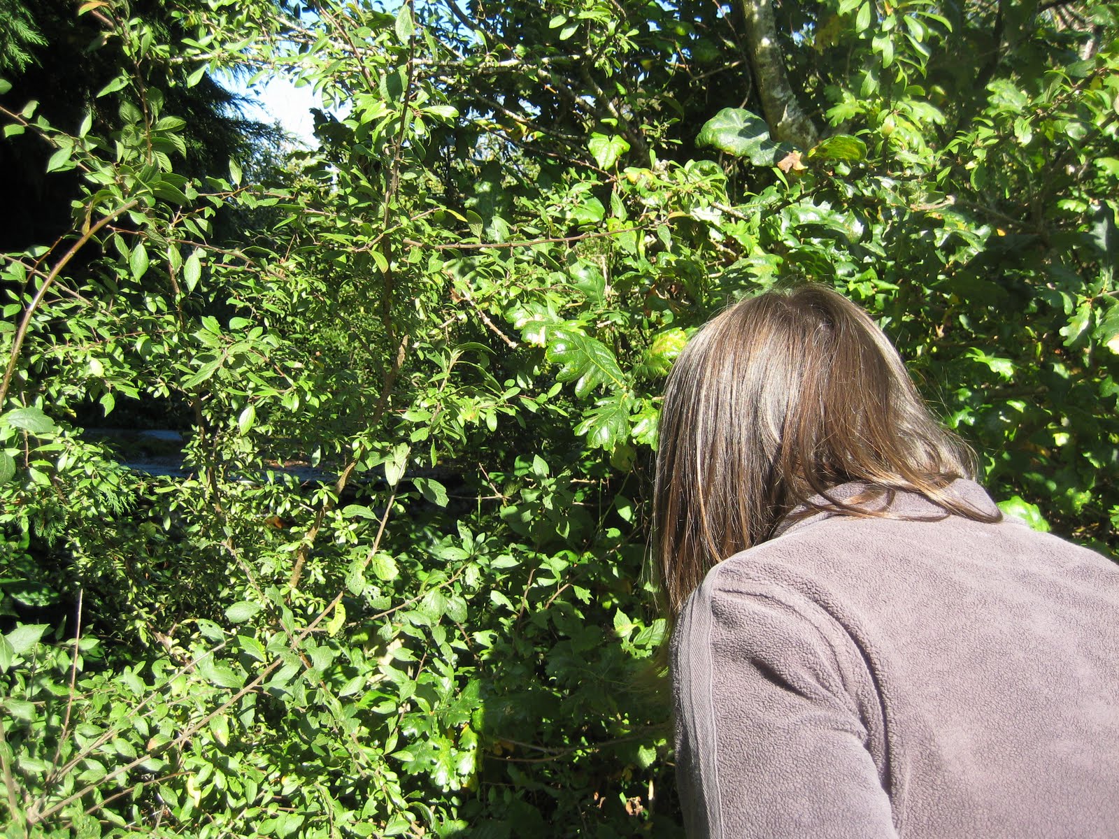 [IMG_5518.JPG]