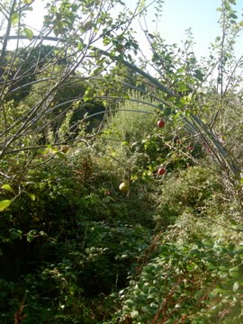 [DSCN9628.jpg]