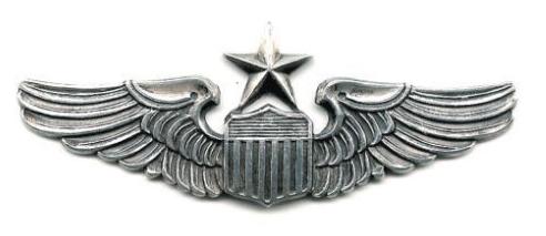 pilots wings logo