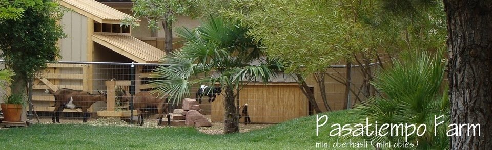Pasatiempo Farm