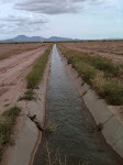 Irrigaton Ditch