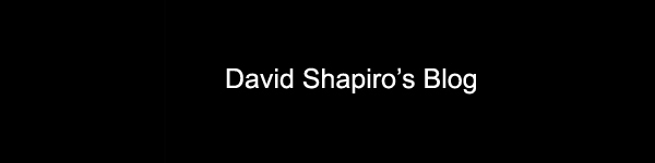 David Shapiro's blog