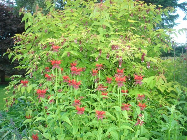 [DSC00535.JPG]
