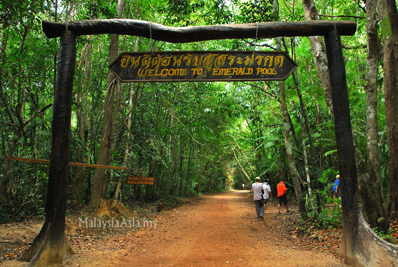 Emerald Pool in Krabi Thailand