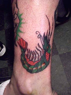 Shrimp tattoo designs picture