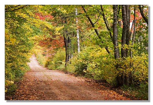 [famous-quotes-about-life.jpg]