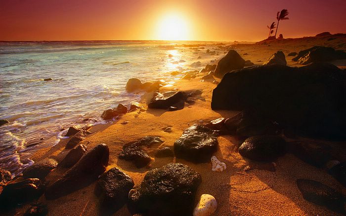 Nature Photography Wallpaper photography wallpaper. Nature Photography Wallpaper