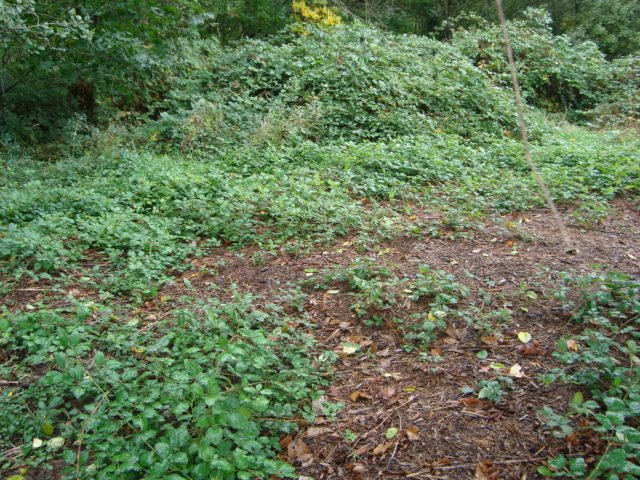 [DSC01288.JPG]