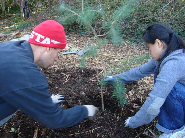 [DSC01528.JPG]