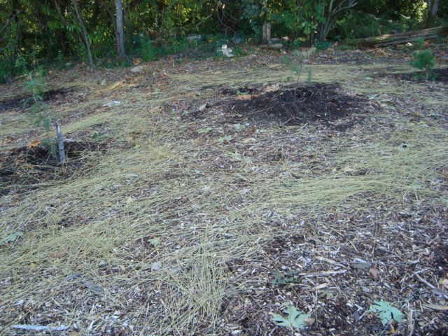 [DSC01535.JPG]