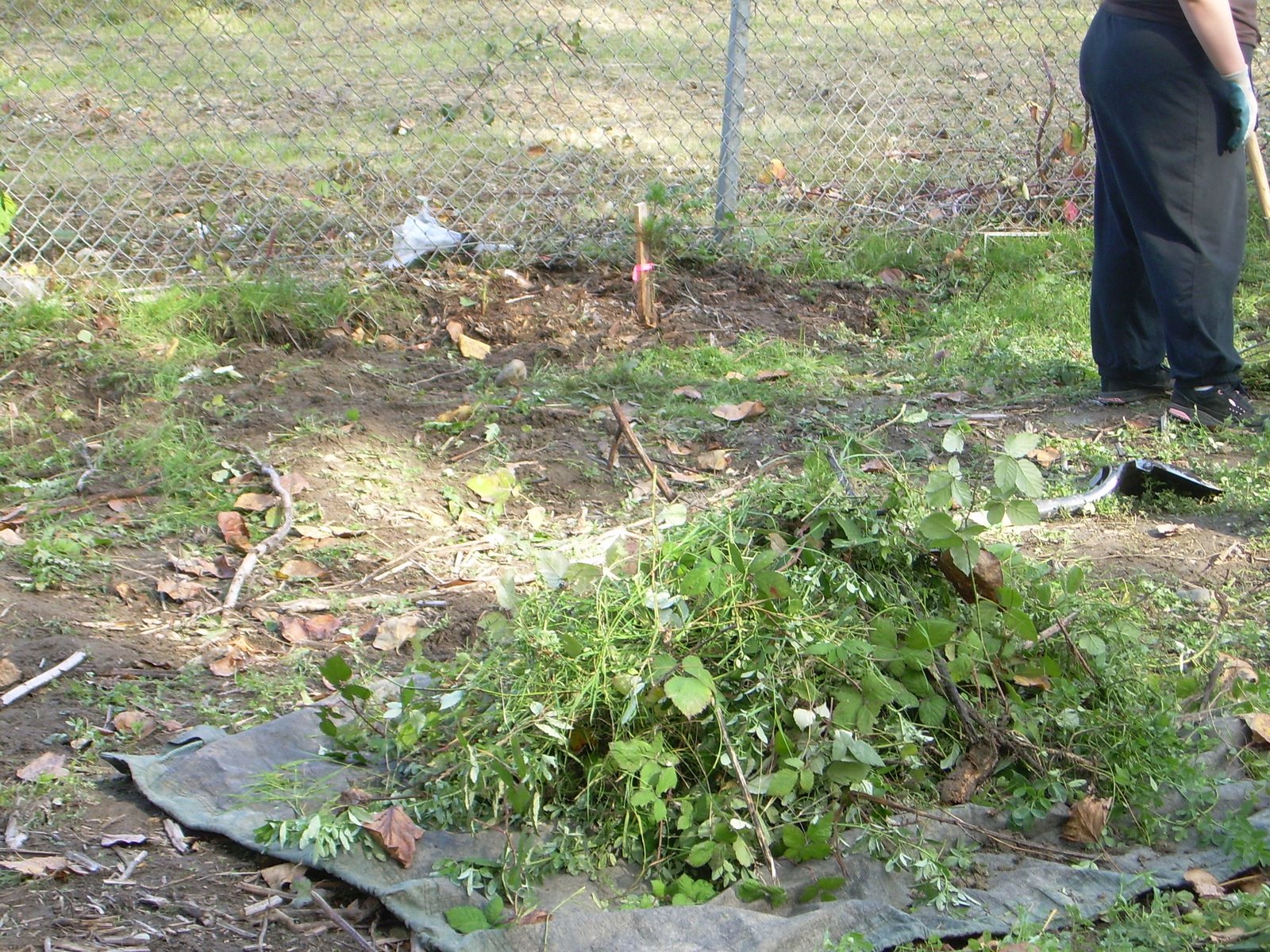 [DSCN4802.JPG]