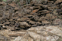 Café Portugal - PASSEIO DE JORNALISTAS em Moncorvo