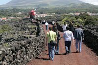 Café Portugal - PASSEIO DE JORNALISTAS nos Açores - Pico - Lajido