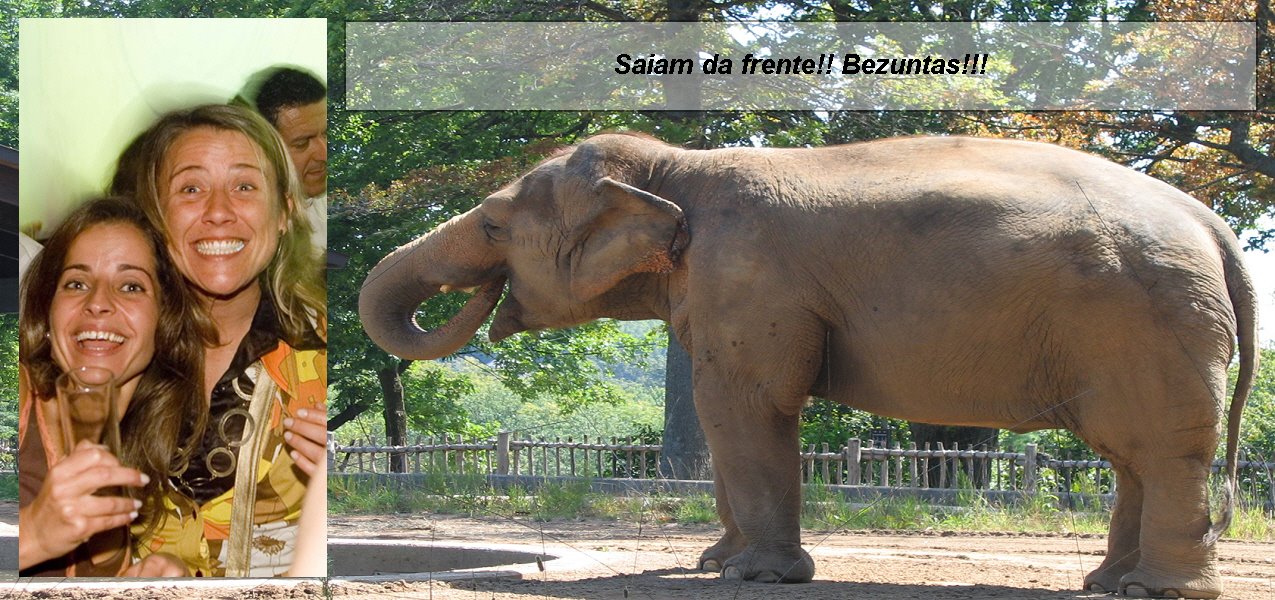 [Sofia+Pat+e+amigo.jpg]