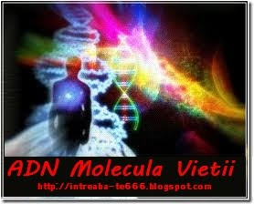 ADN – Molecula vieții