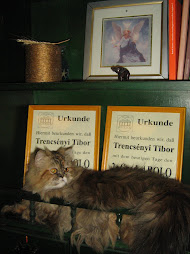 a dög macska, akit megszerettem