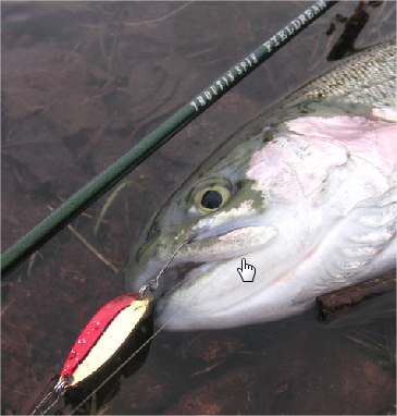 Le magasin la chasse et la pêche à grand novgorode