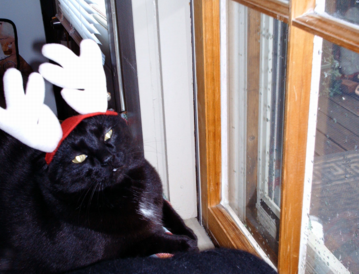 [nubireindeer.png]
