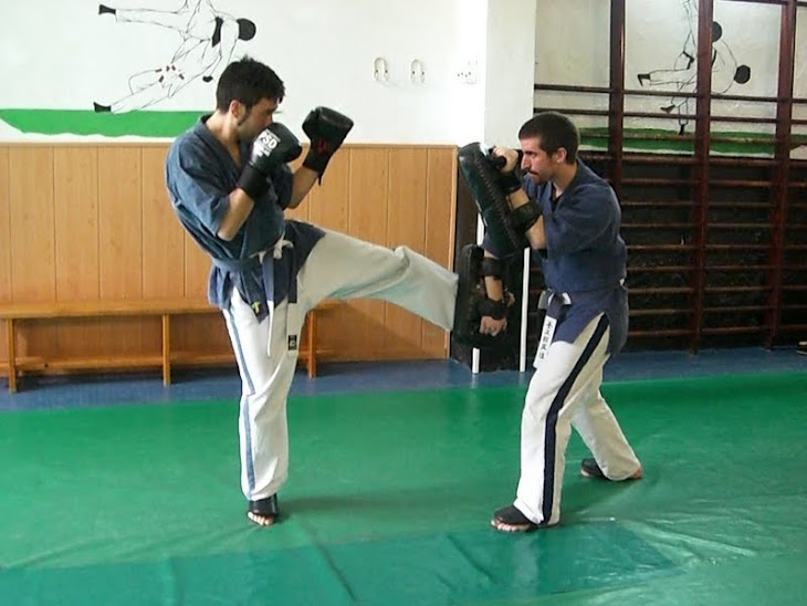 Yoseikan Sparring