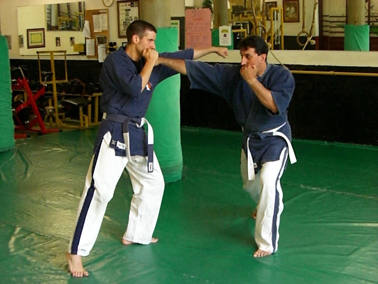 Yoseikan Karate